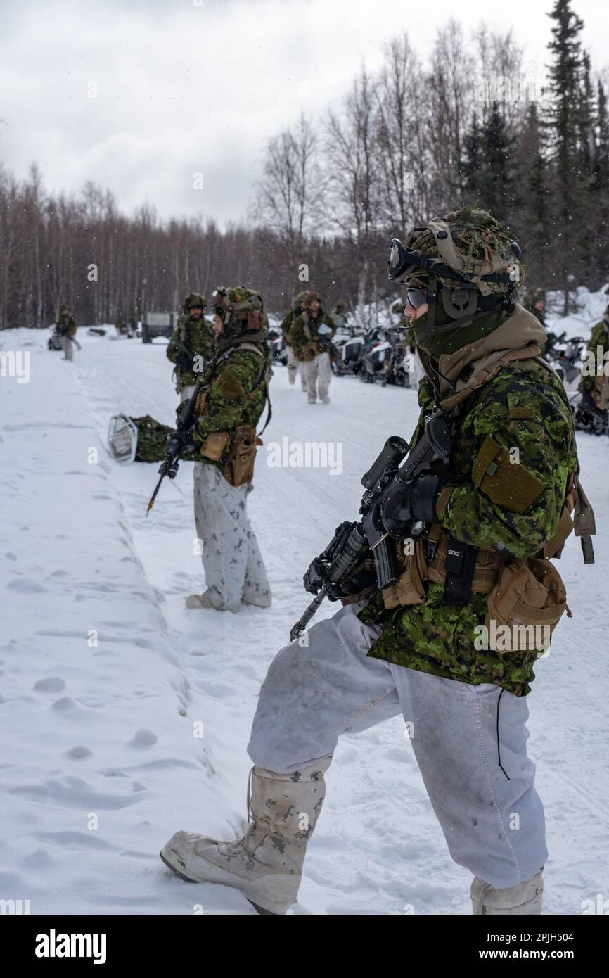 Des soldats canadiens d'Une compagnie, 3rd Bataillon Princess Patricia's Light Infantry tirent la sécurité tout en faisant une pause sur la patrouille 31 mars 2023 dans la zone d'entraînement du Yukon pour le joint Pacific multinational Readiness Centre-Alaska 23-02. Avec plus de 8 000 participants et observateurs de 12 pays différents, le milieu multinational du JPMRC-AK 23-Boitiers contribue à accroître la compétence dans l’Arctique dans l’ensemble de l’Armée de terre et de la force conjointe, à l’appui de la stratégie arctique du pays et de l’Armée de terre. (Photo du sergent d'état-major Christopher Dennis/ 11th, Division aéroportée) Banque D'Images