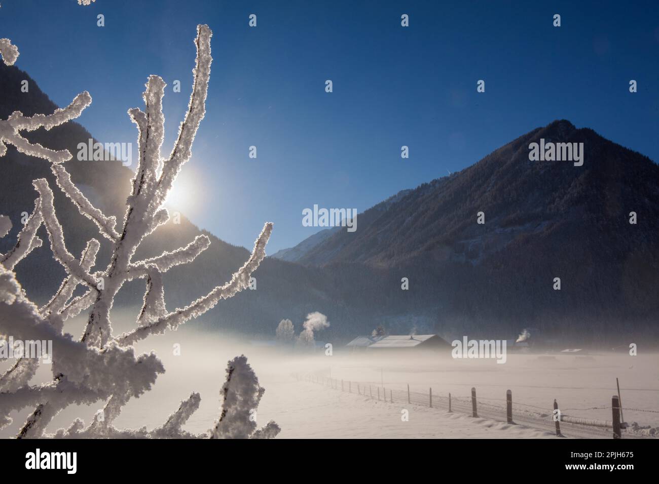 Matin d'hiver, Wald im Pinzgau, Autriche, Banque D'Images