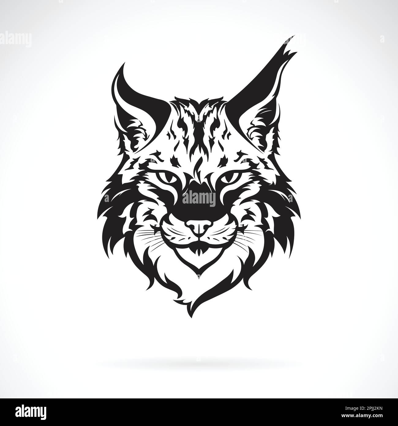 Vecteur d'une tête lynx sur fond blanc. Animaux sauvages. Illustration de Vecteur