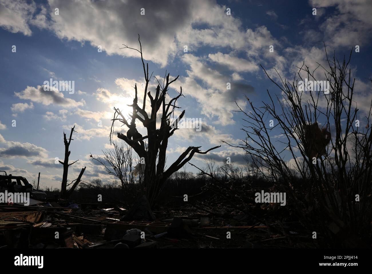 STINESVILLE, INDIANA - AVRIL 1 : des arbres sont endommagés sur la route de West Wolf Mountain après une tornade sur 1 avril 2023 à Stinesville, Indiana. Une tornade a frappé la région de 31 mars 2023 et a détruit des maisons le long de la route, et a hospitalisé certains résidents avec des blessures. Deux personnes ont été tuées à proximité du parc national McCormick’s Creek lorsque la tornade a détruit un terrain de camp. (Photo de Jeremy Hogan/The Bloomingtonian) Banque D'Images