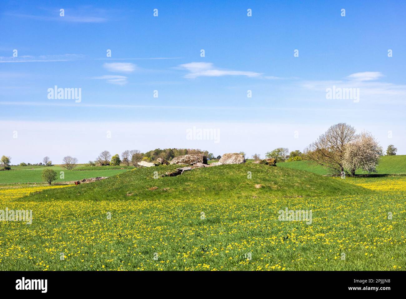 Colline avec une tombe de passage dans un beau paysage rural Banque D'Images