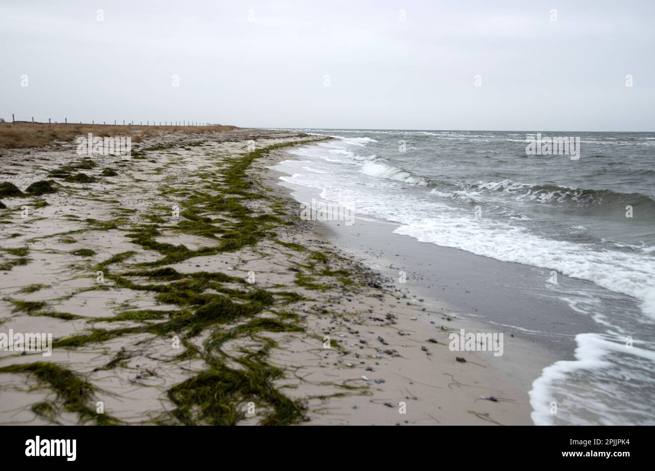 Relief en Suède, en Europe Banque D'Images