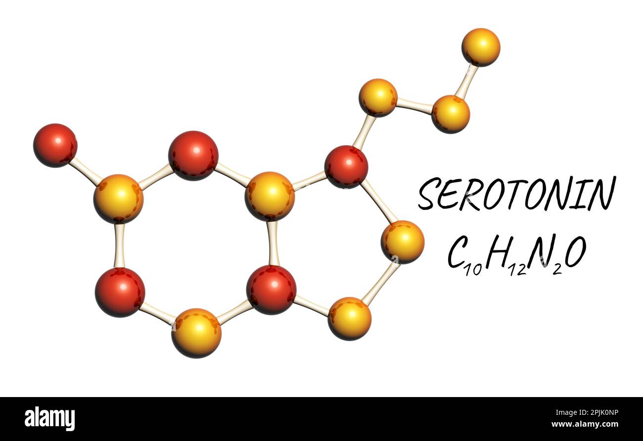 Formule chimique de sérotonine - hormone du bonheur. Modèle moléculaire de l'hormone sérotonine. Isolé sur fond blanc. Peut être utilisé pour la science et l'edu Banque D'Images