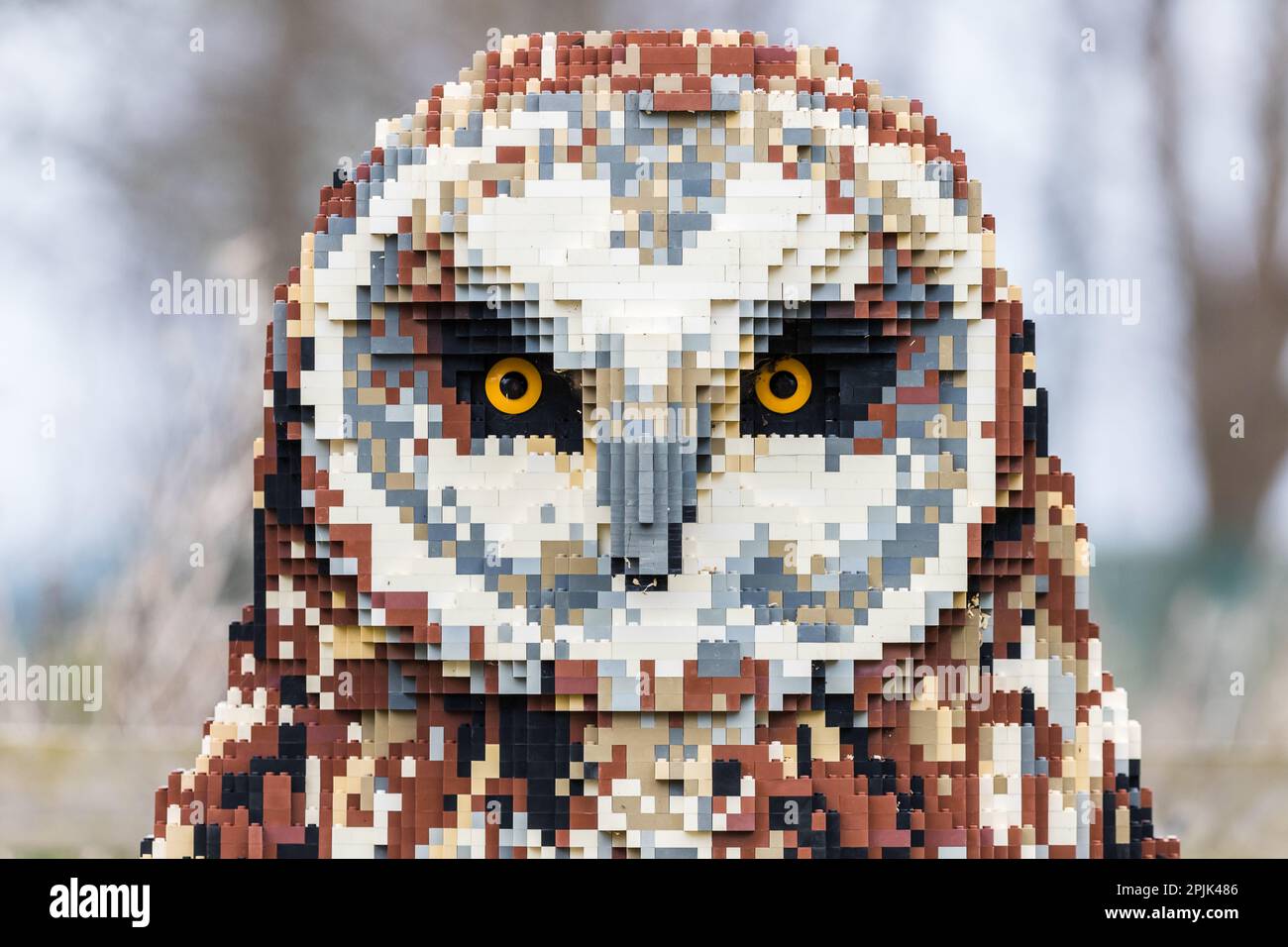 Gros plan d'une petite sculpture de hibou à oreilles faite de briques Lego vues à Merseyside en avril 2023. Banque D'Images