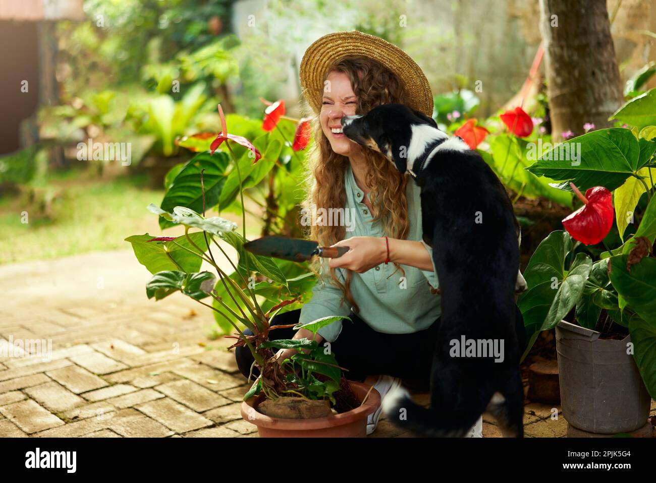 Jeune femme heureuse se câliner et jouer avec le chien. Jardinier caucasien portant chapeau de paille plantant des fleurs et prenant soin des plantes en pot avec Banque D'Images