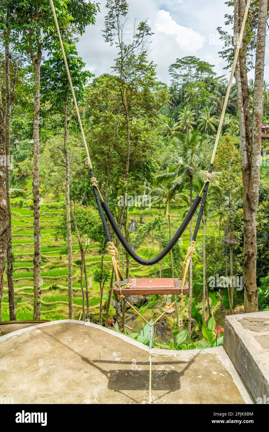 Tegalalang, Ubud, Indonésie - 14 février.2023: Une balançoire à la terrasse  naturelle swing fairground champ de riz à Ubud sur Bali Photo Stock - Alamy
