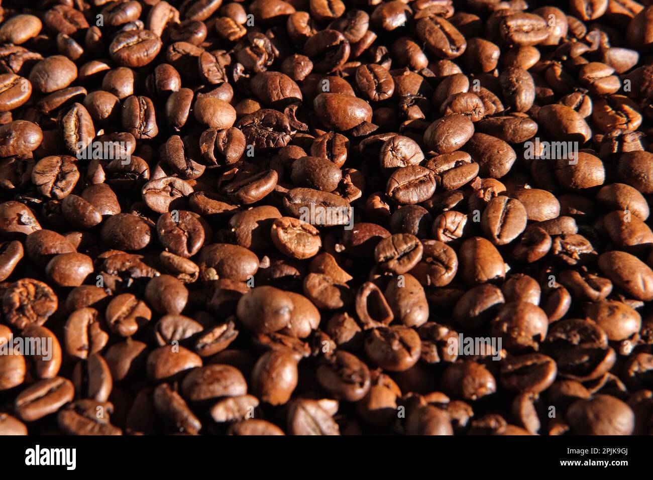 Fond de grains de café. Gros plan sur la texture des grains de café. Le café torréfié brun foncé tourne. Abondance. Concept pour la publicité des produits du café. S Banque D'Images