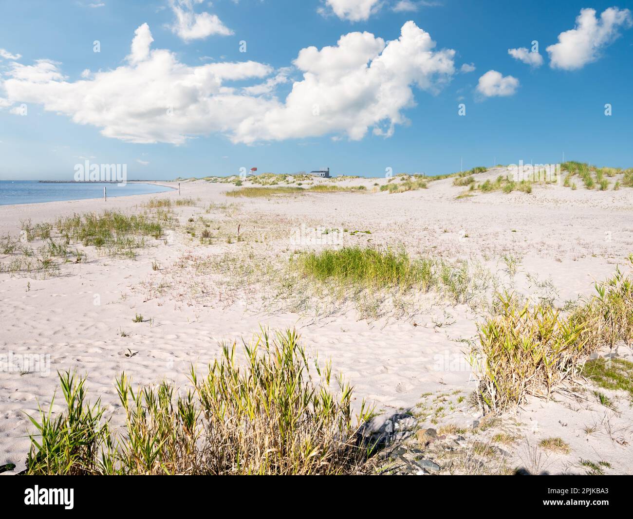 Plage, dunes et tour d'observation sur la côte de l'île de Marker Wadden dans le lac Markermeer, pays-Bas Banque D'Images