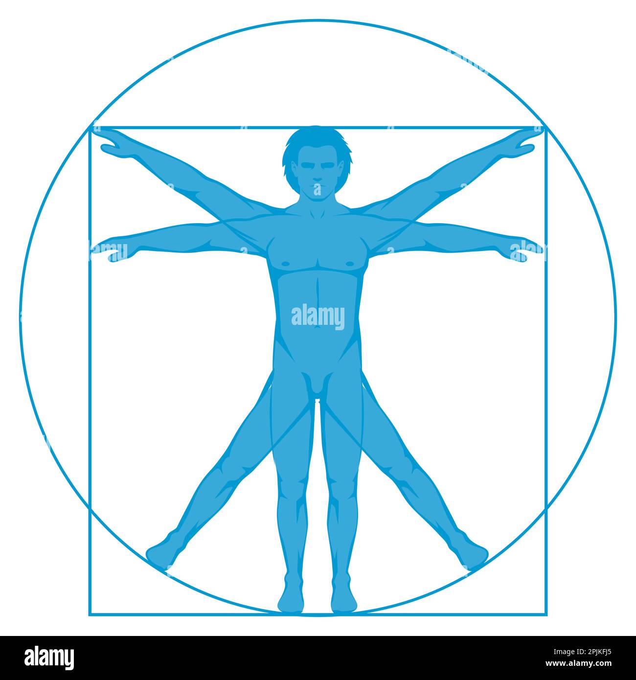 Vinci, Icon Vetruvian Man, anatomie vectorielle du corps humain Illustration de Vecteur