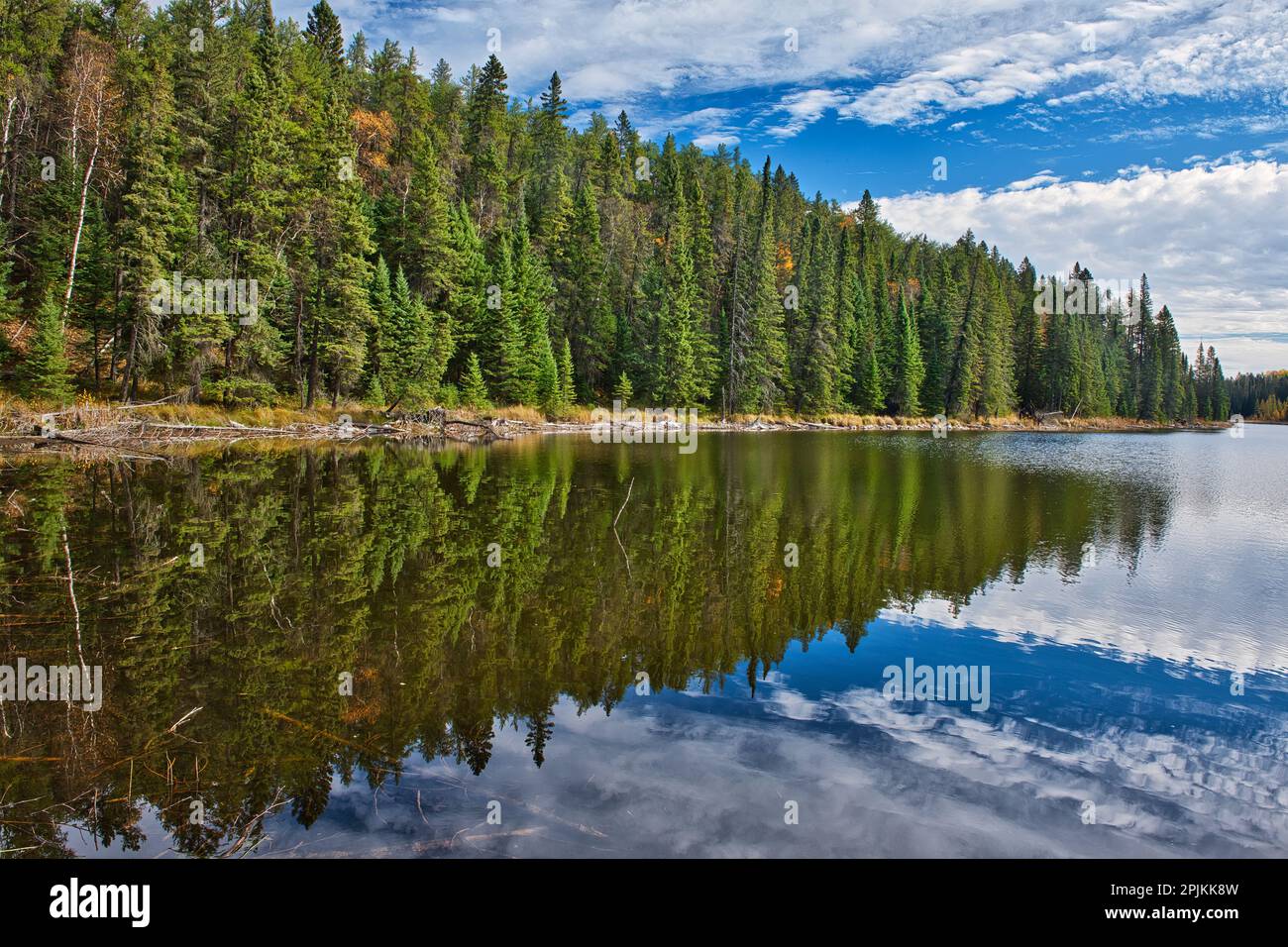 Parc Reston Mb Duck mountain provincial park Banque de photographies et d’images à ...