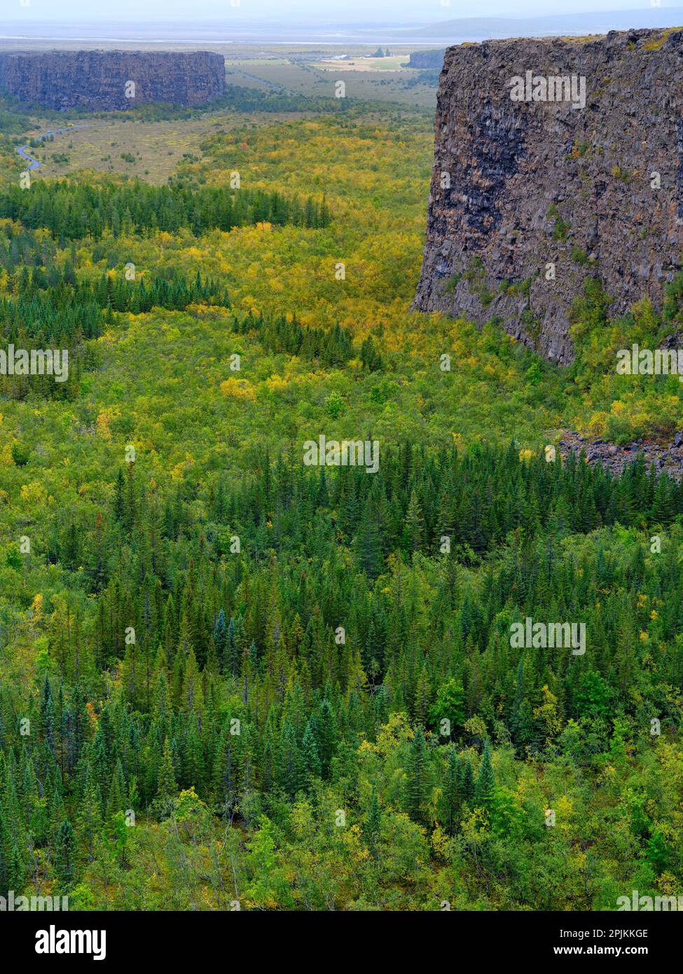Canyon d'Asbyrgi dans le parc national de Vatnajokull. La guerre du canyon formée par la rivière glaciaire Jokulsa a Fjollum, avant que la rivière change de cours, l'Islande Banque D'Images