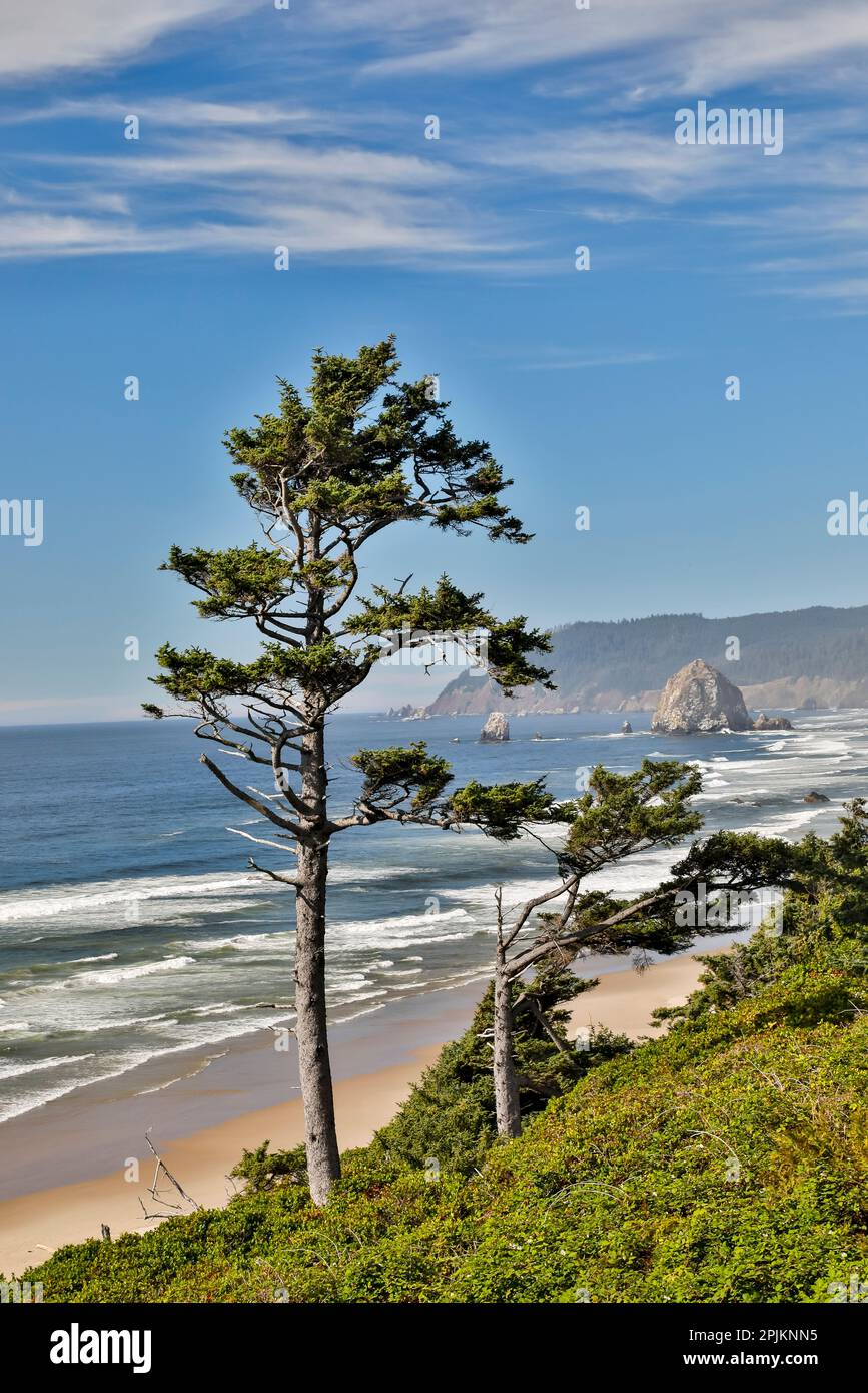 États-Unis, Oregon. Cannon Beach avec Haystack Banque D'Images