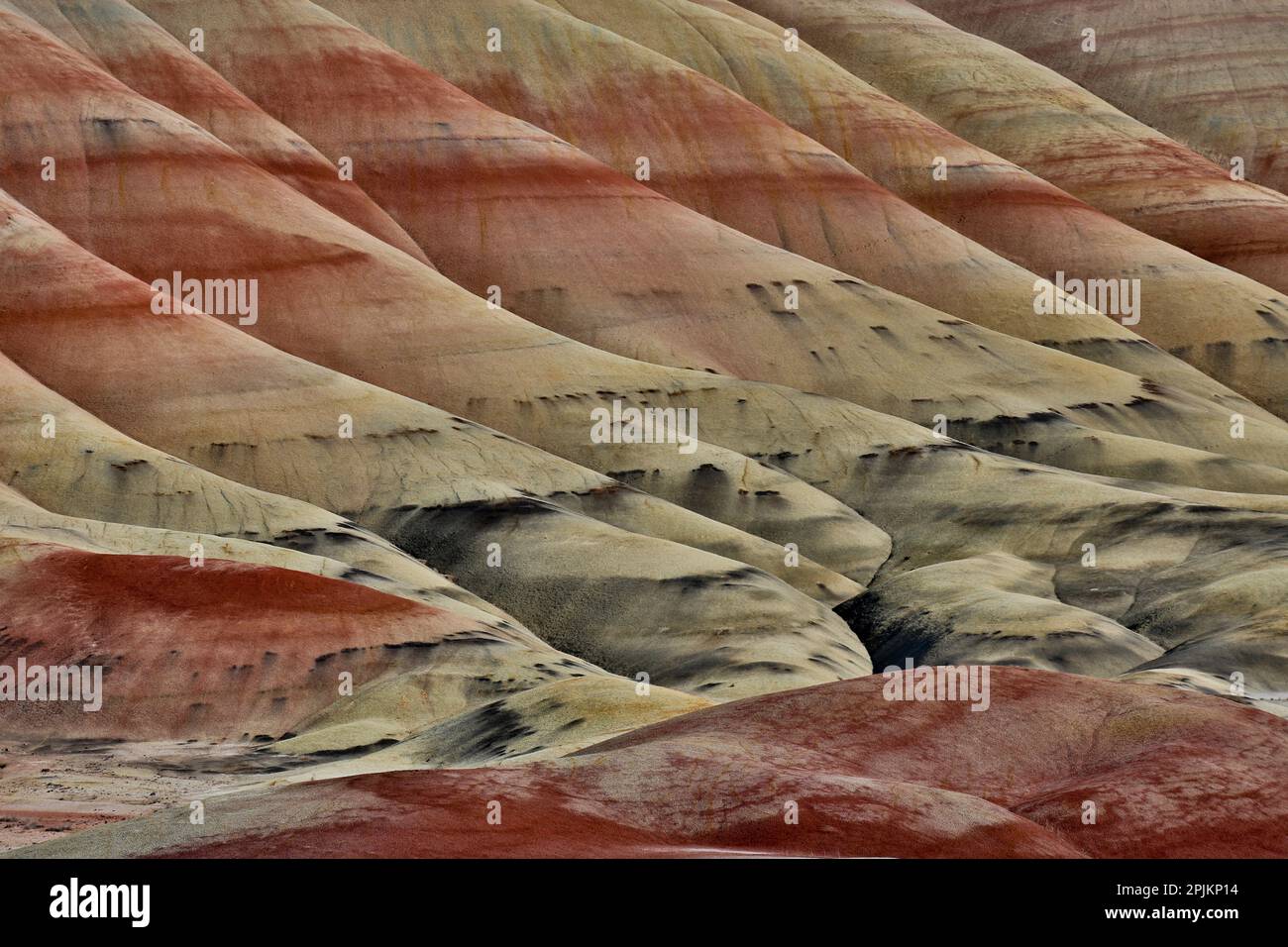 États-Unis, Oregon. John Day Fossil Beds National Monument badlands paysage. Banque D'Images