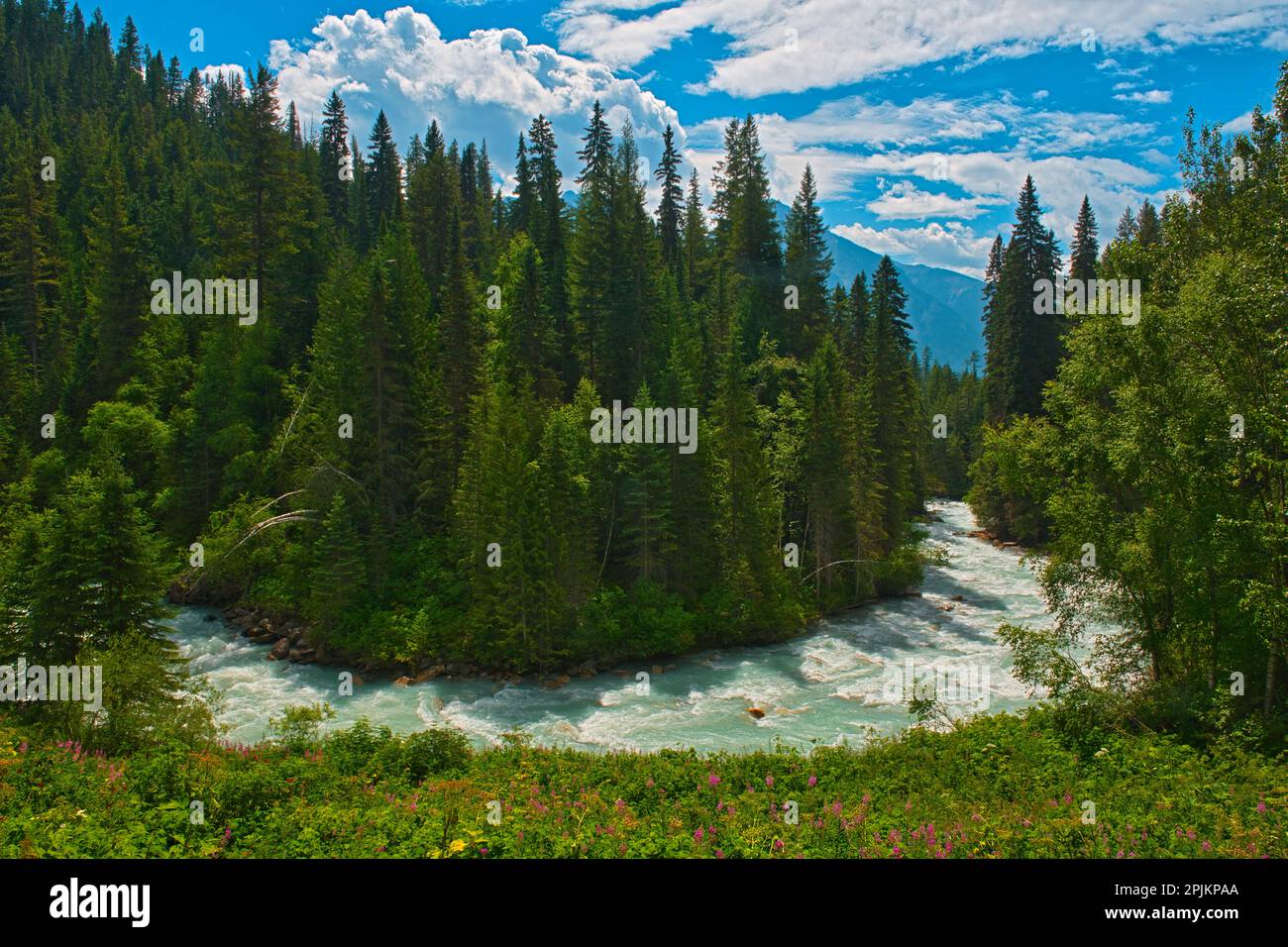 Canada, Colombie-Britannique, Parc provincial du Mont Robson. Cascade de la rivière Robson. Banque D'Images