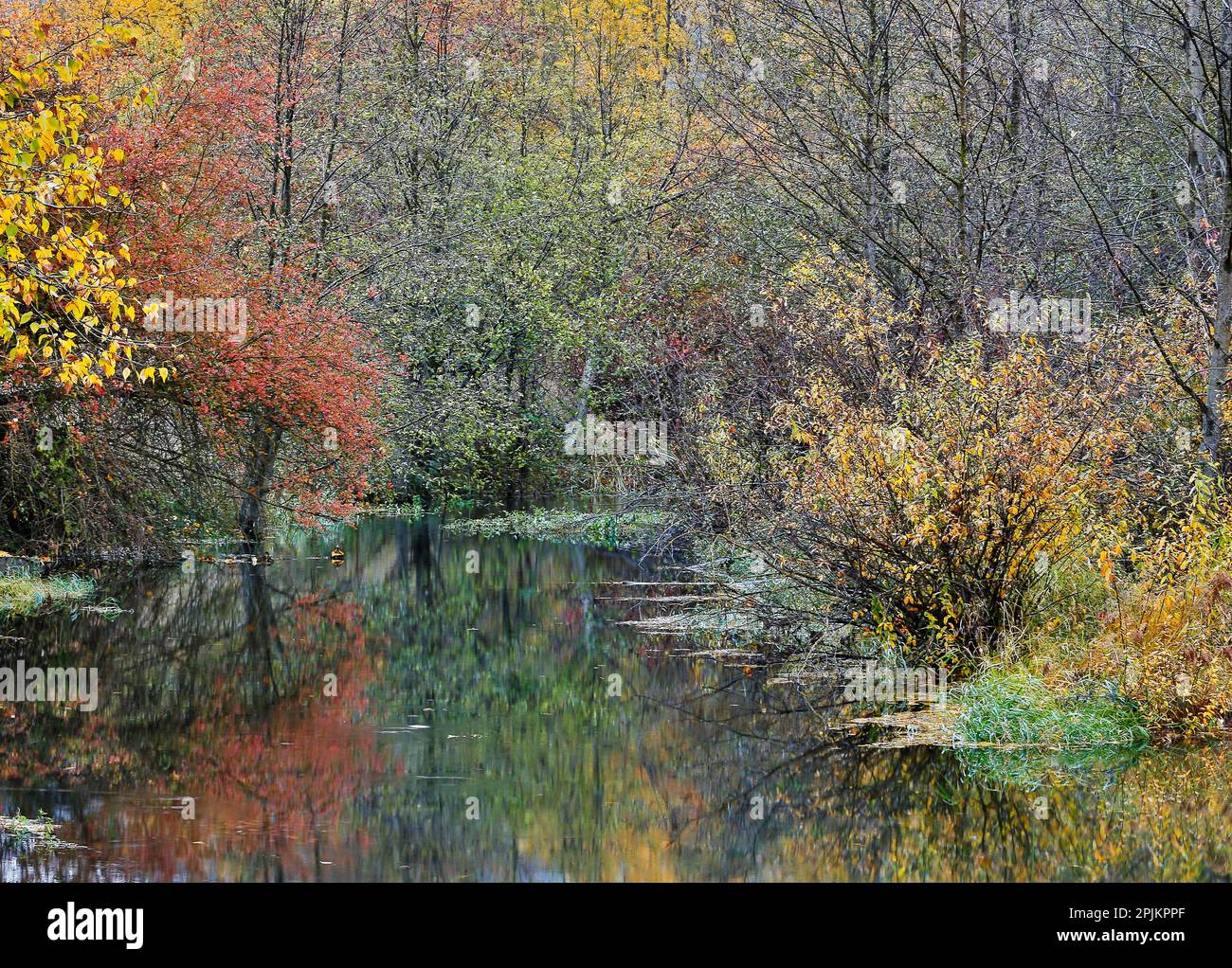États-Unis, État de Washington, Easton et Washington Cascades voie d'eau de la rivière Yakima en couleur d'automne Banque D'Images