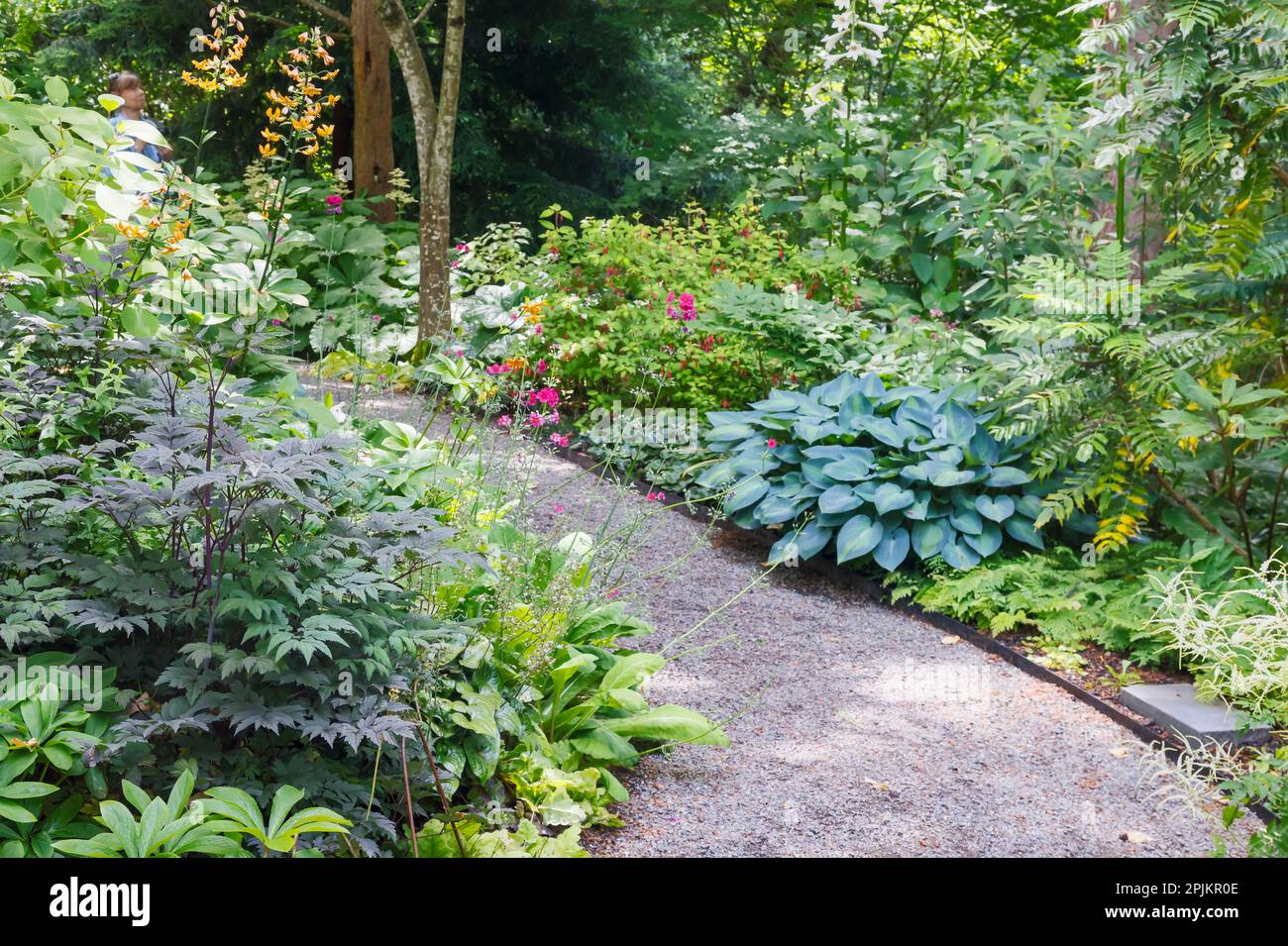 États-Unis, État de Washington. Jardin botanique de Bellevue et jardin ombragé Banque D'Images
