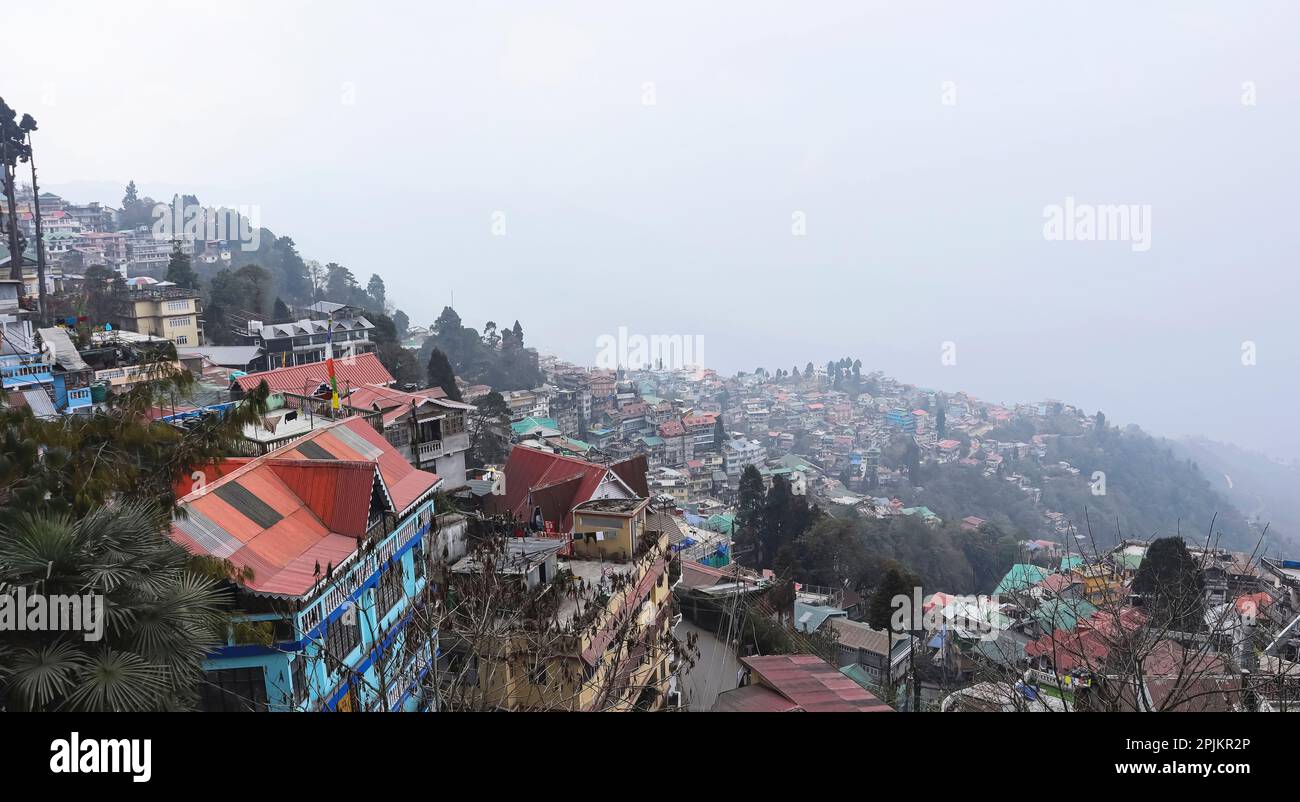 Morning brumeux de Darjeeling, Bengale-Occidental, Inde. Banque D'Images