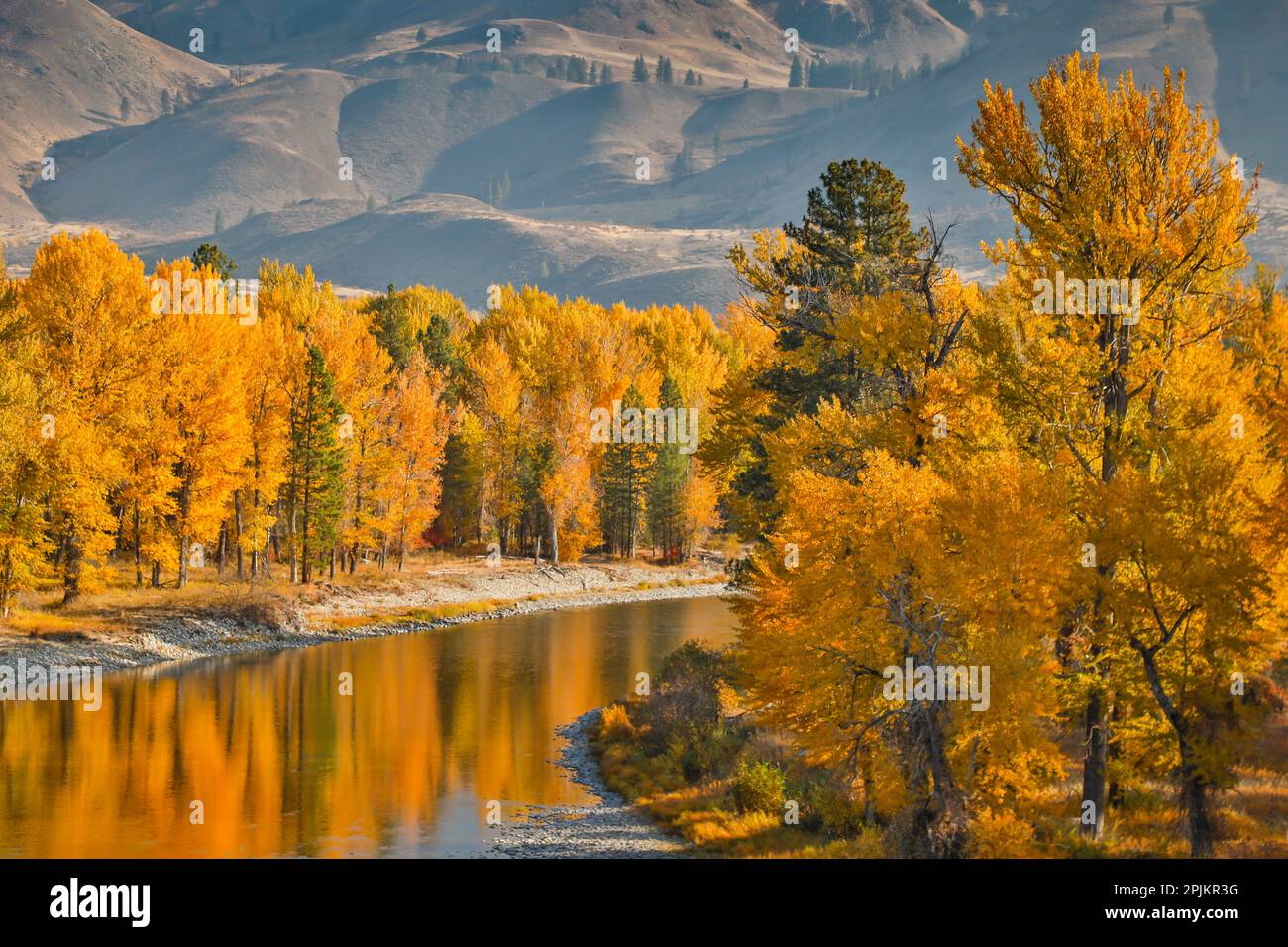 États-Unis, État de Washington, Metow Valley et rivière bordés d'arbres de couleur automnale. Banque D'Images
