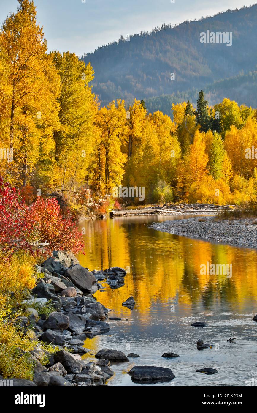 États-Unis, État de Washington, Metow Valley et rivière bordés d'arbres de couleur automnale. Banque D'Images