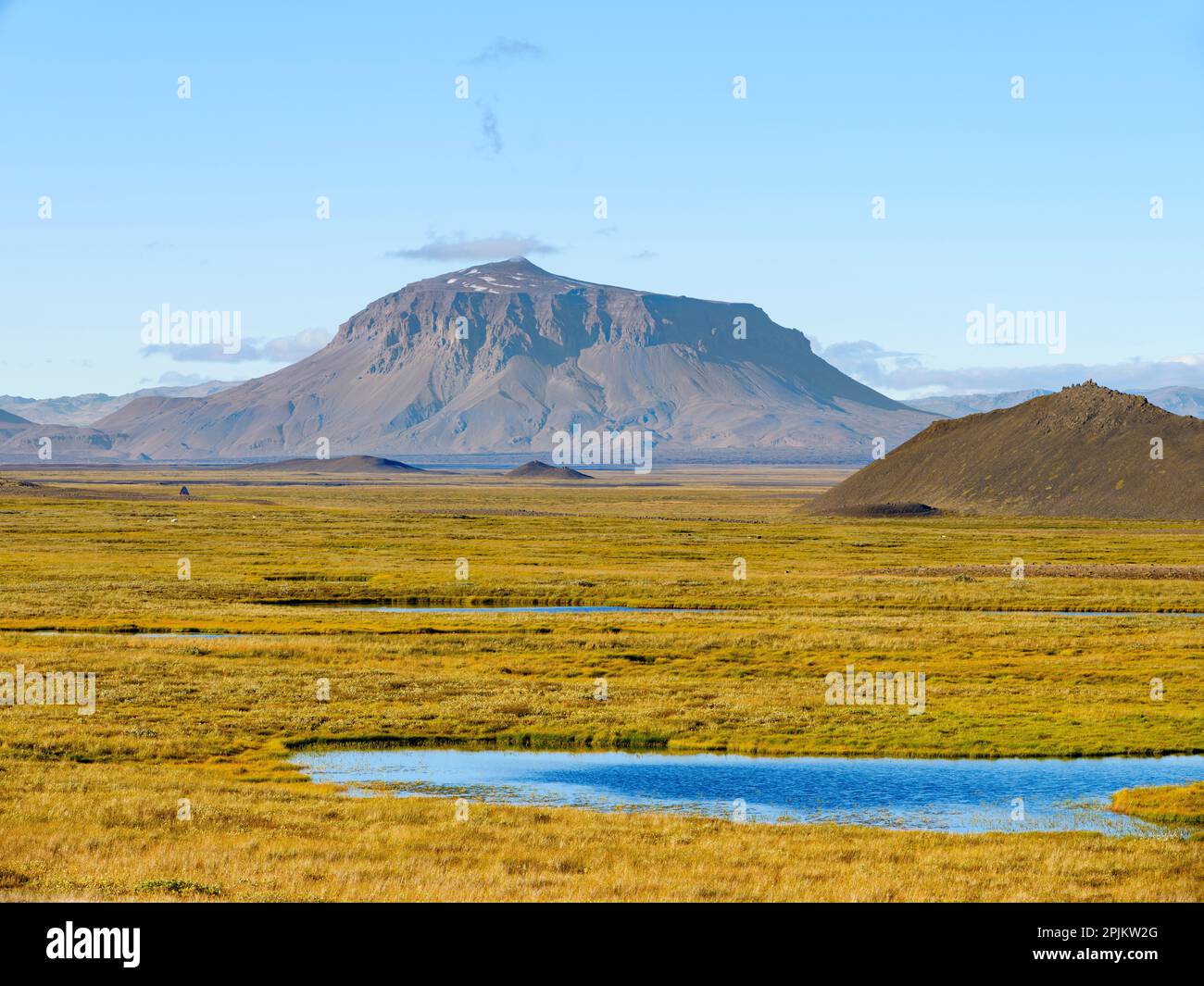 Les pâturages fertiles, en arrière-plan le Mont Herdubreid, la reine des montagnes islandaises. Modrudalur, la plus haute ferme habitée d'Islande. Banque D'Images