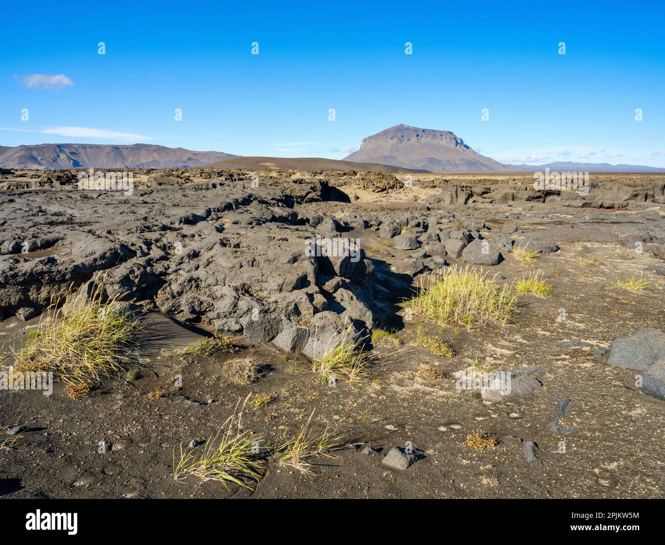 Highlands près du parc national de Vatnajokull, en arrière-plan le Mont Herdubreid, la reine des montagnes islandaises, Islande Banque D'Images