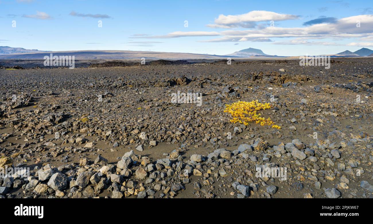 Highlands dans le parc national de Vatnajokull, site classé au patrimoine mondial de l'UNESCO, Islande Banque D'Images