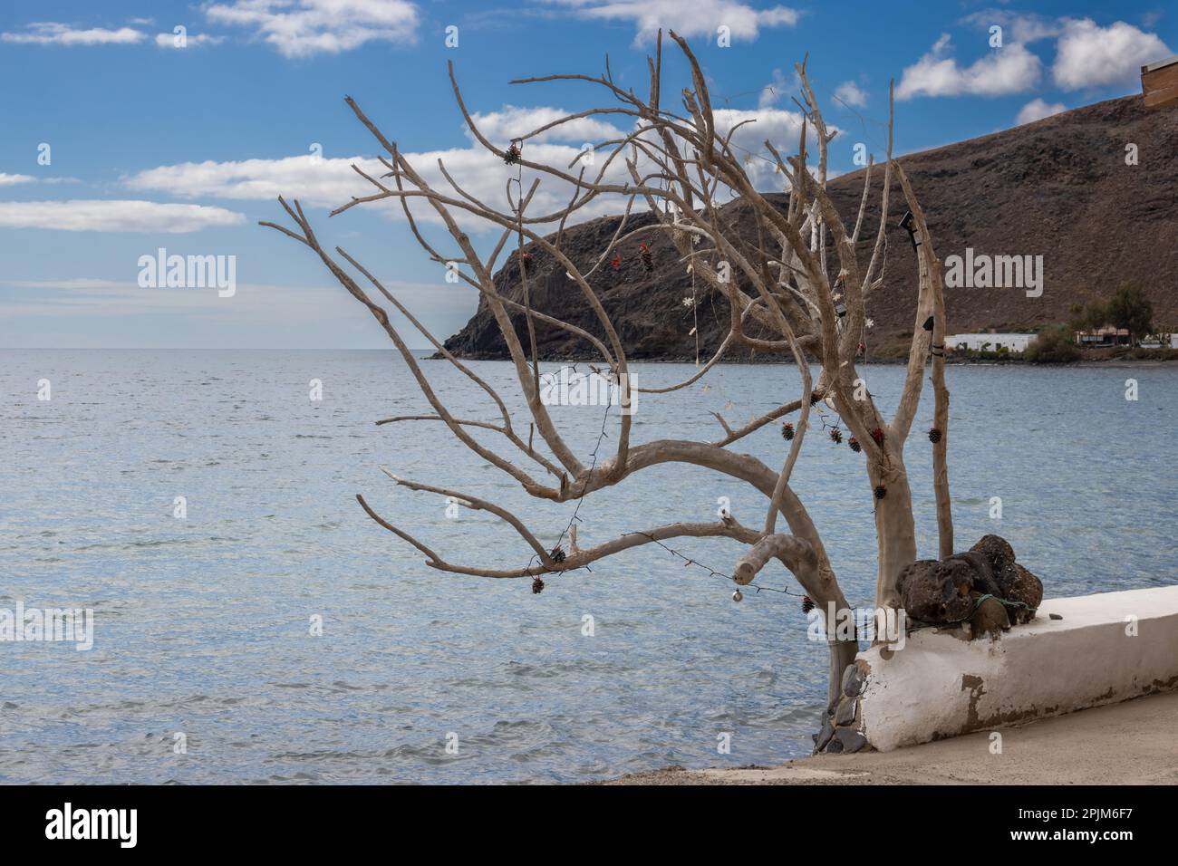 Eau calme de l'océan Atlantique. Arbre sec avec des lumières, utilisé comme un arbre de noël. Ciel bleu avec nuages blancs. Giniginamar, Fuerteventura, Espagne. Banque D'Images