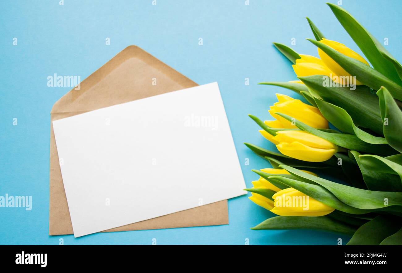 Enveloppe avec papier blanc pour texte sur fond bleu et tulipes jaunes. Un printemps de vacances salutations. Banque D'Images