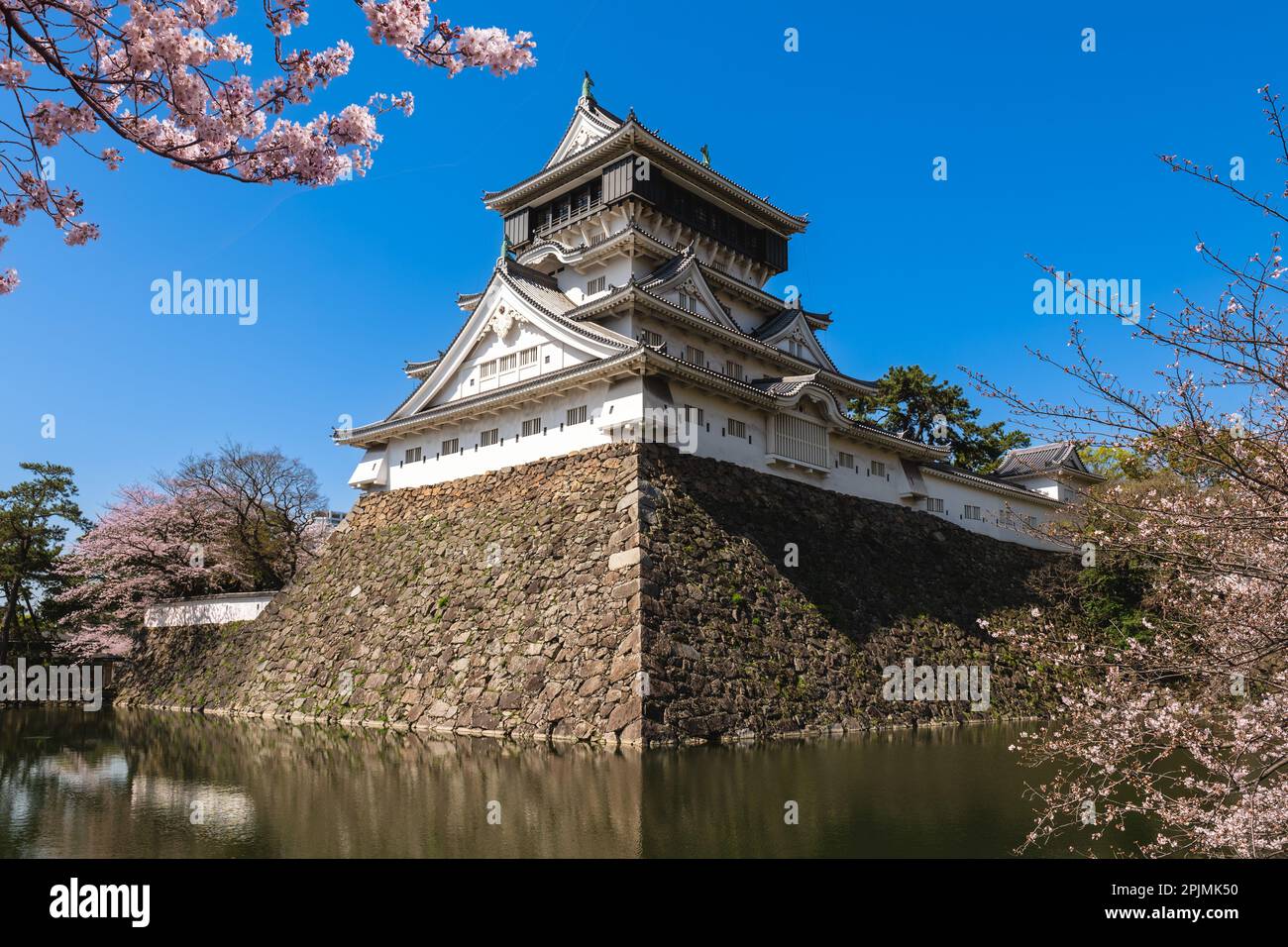 Cerisiers en fleurs au château de Kokura à Kitakyushu, Fukuoka, Japon. Banque D'Images