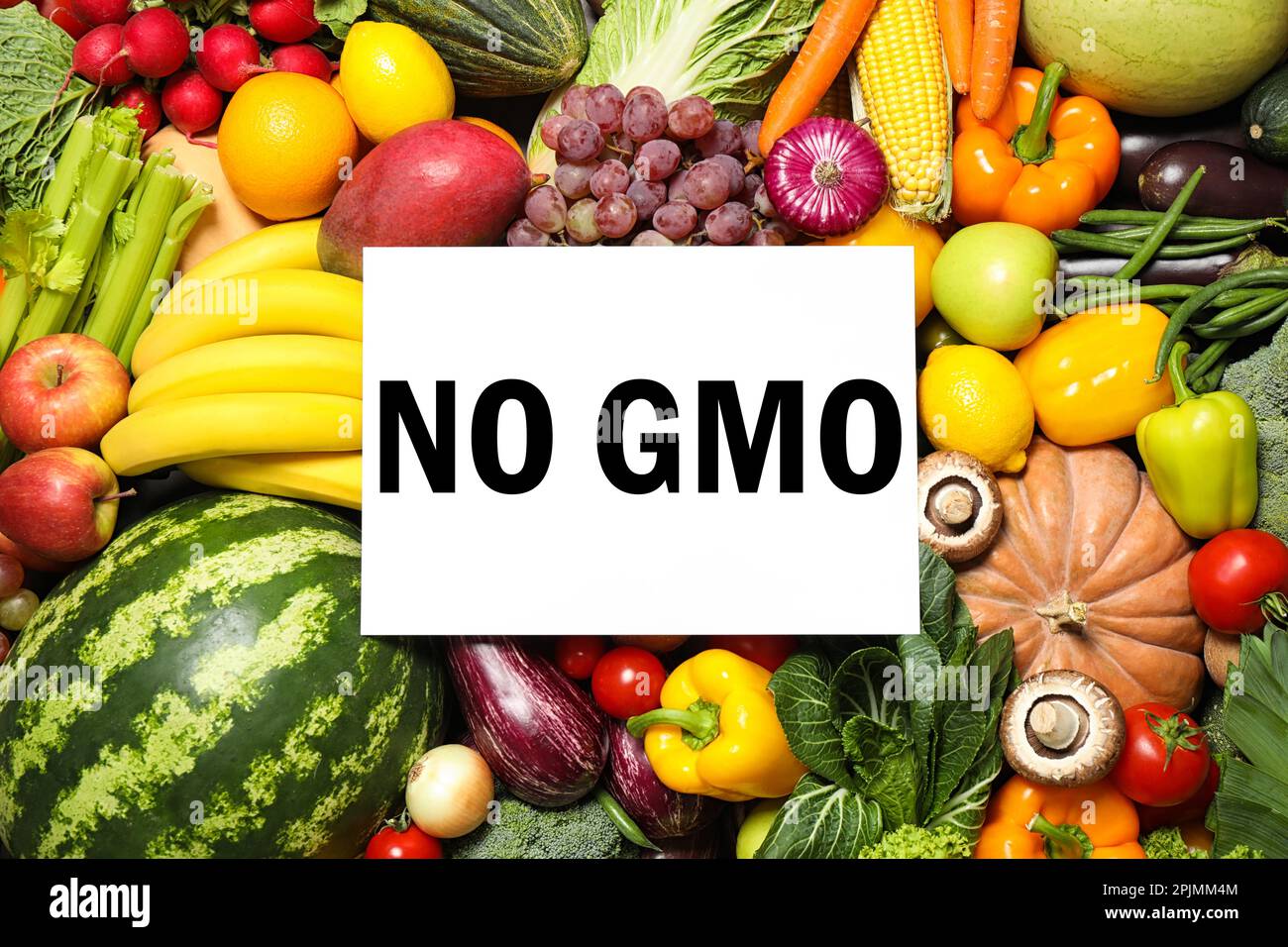 Carte sans texte OGM et assortiment de fruits et légumes frais biologiques, vue du dessus Banque D'Images
