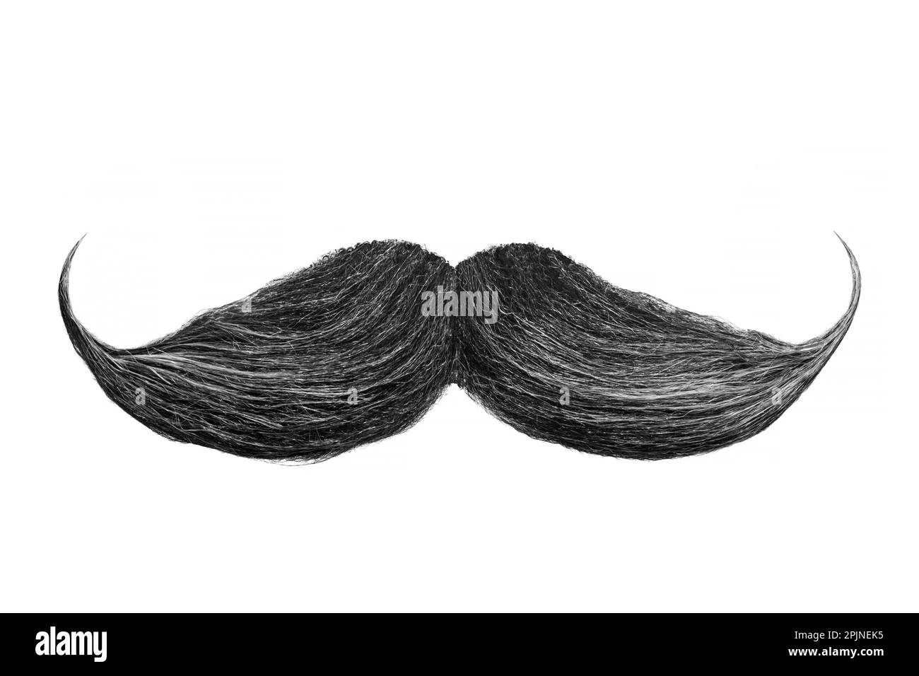 Moustache noire bouclés isolée sur fond blanc Banque D'Images