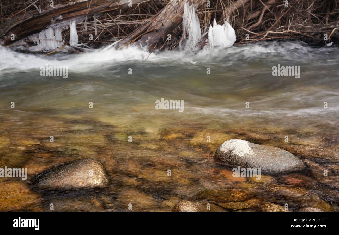 Rivière d'hiver, eau qui coule sous des arbres couverts de glace, photo à angle bas photo à exposition longue, mise au point sur les pierres en premier plan Banque D'Images