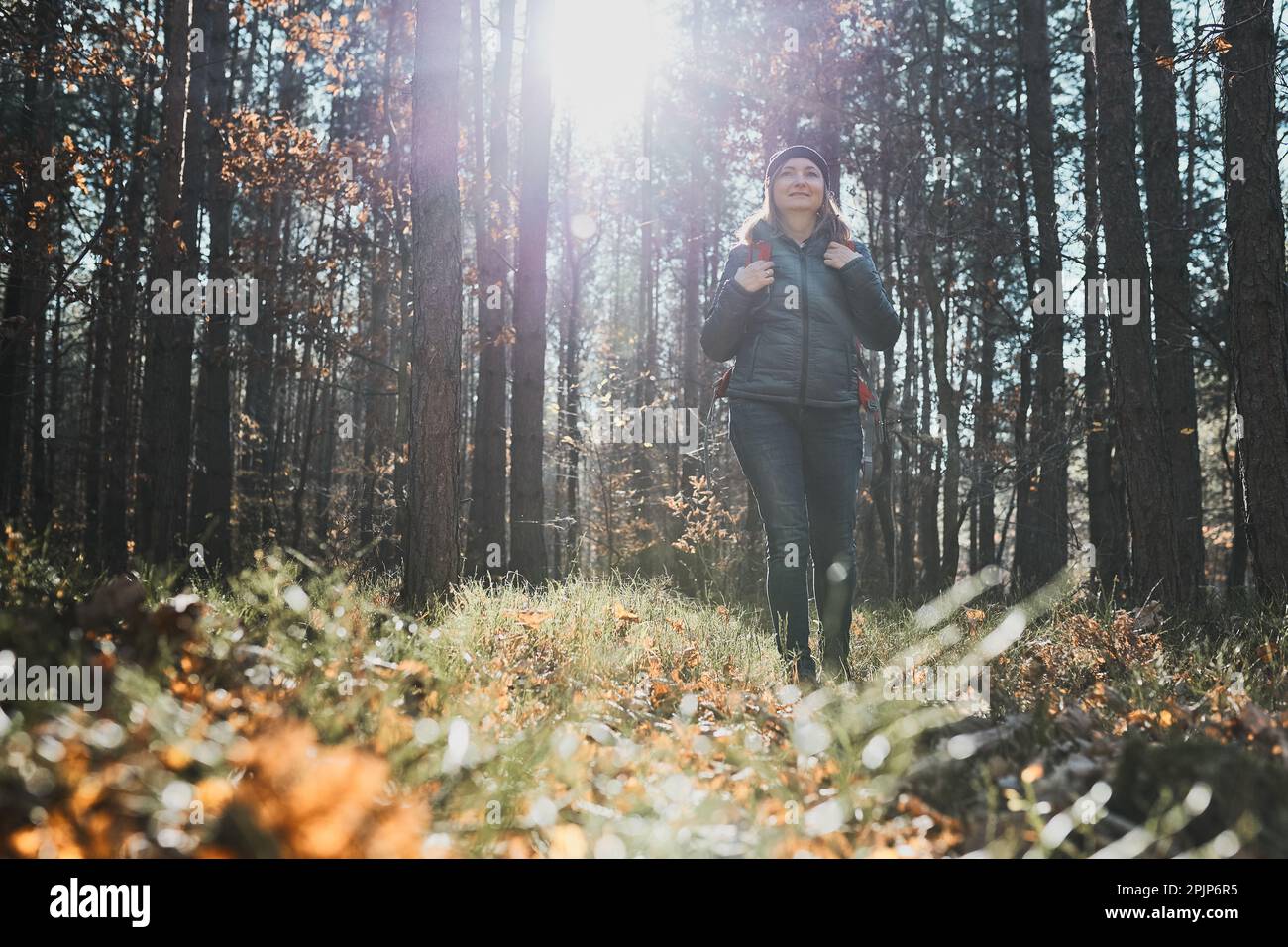 Femme en randonnée le jour de vacances ensoleillé. Femme avec sac à dos marchant dans le chemin de la forêt. Passer des vacances d'été près de la nature Banque D'Images