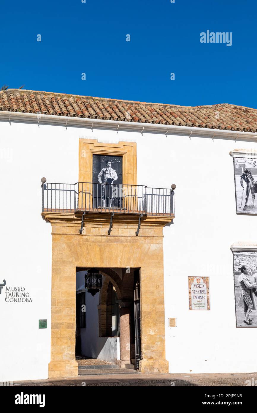 Musée de la corrida de Cordoue, Cordoue, Andalousie, Espagne, Europe du Sud-Ouest Banque D'Images