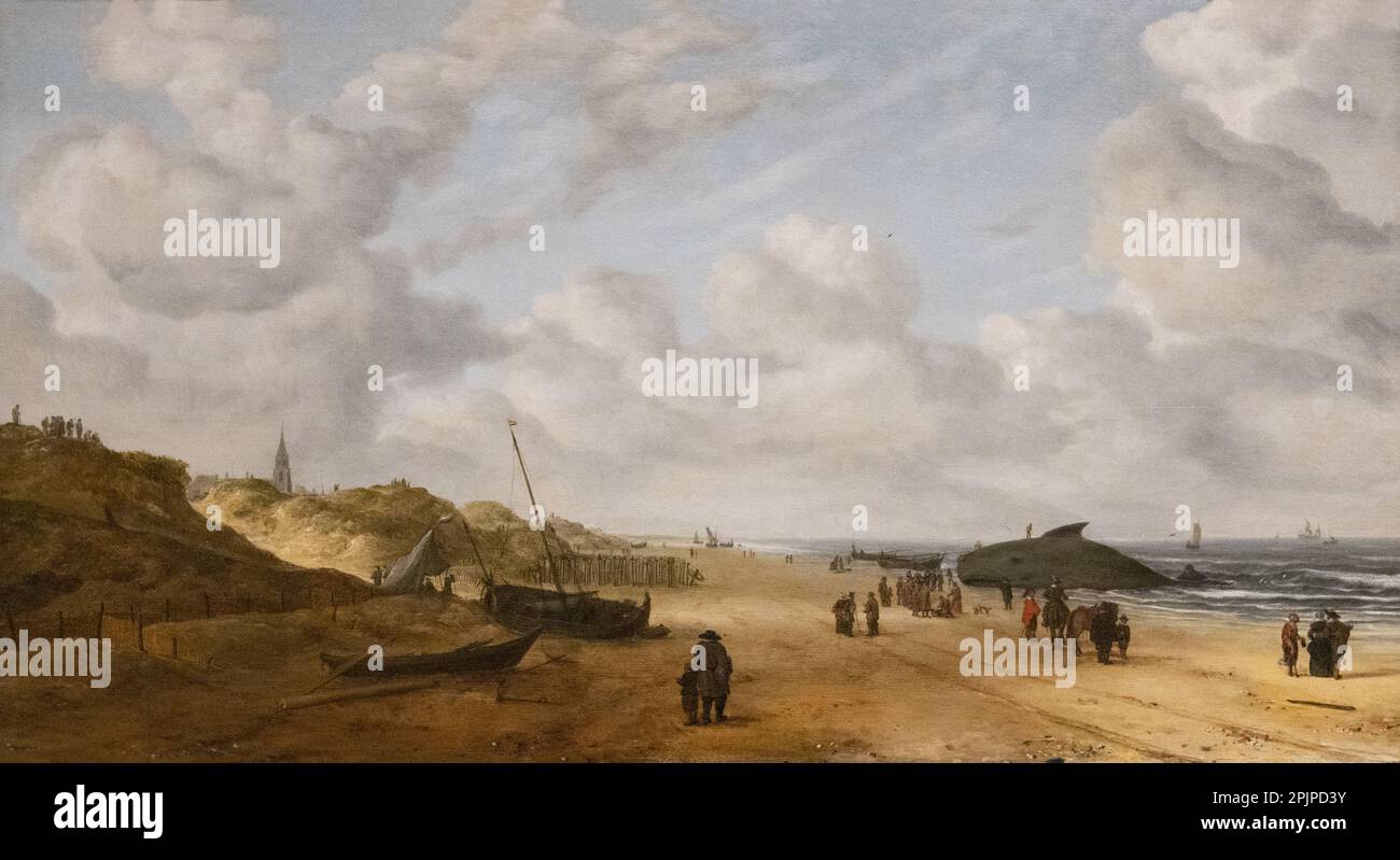 Tableau de Hendrick van Antonissen; vue des sables de Scheveningen avec un cachalot béché; c 1641. Peintre marin hollandais du 17th siècle. Banque D'Images