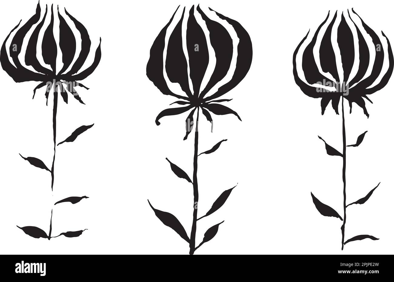 Ensemble de silhouettes tulipes à fleurs. Illustration de Vecteur