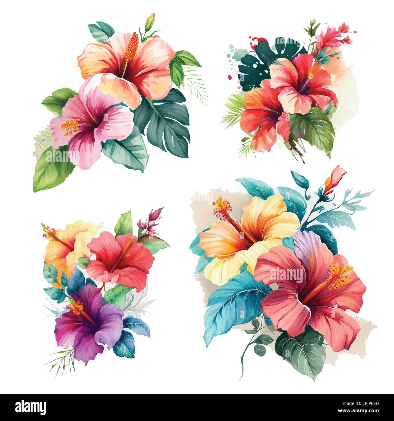 Hibiscus aquarelle vector. Fleurs tropicales un élément aquarelle fleur. Isolé sur fond blanc. elément vectoriel pour votre conception. rouge Illustration de Vecteur
