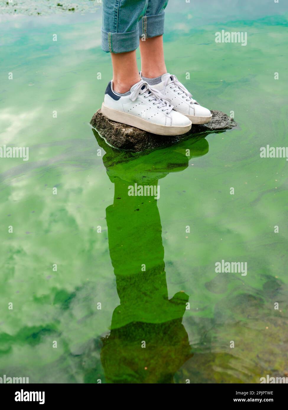 Une personne se tient sur une pierre dans l'eau avec des algues bleues et vertes qui fleurissent. Pollution de l'eau et problèmes écologiques concept. Banque D'Images
