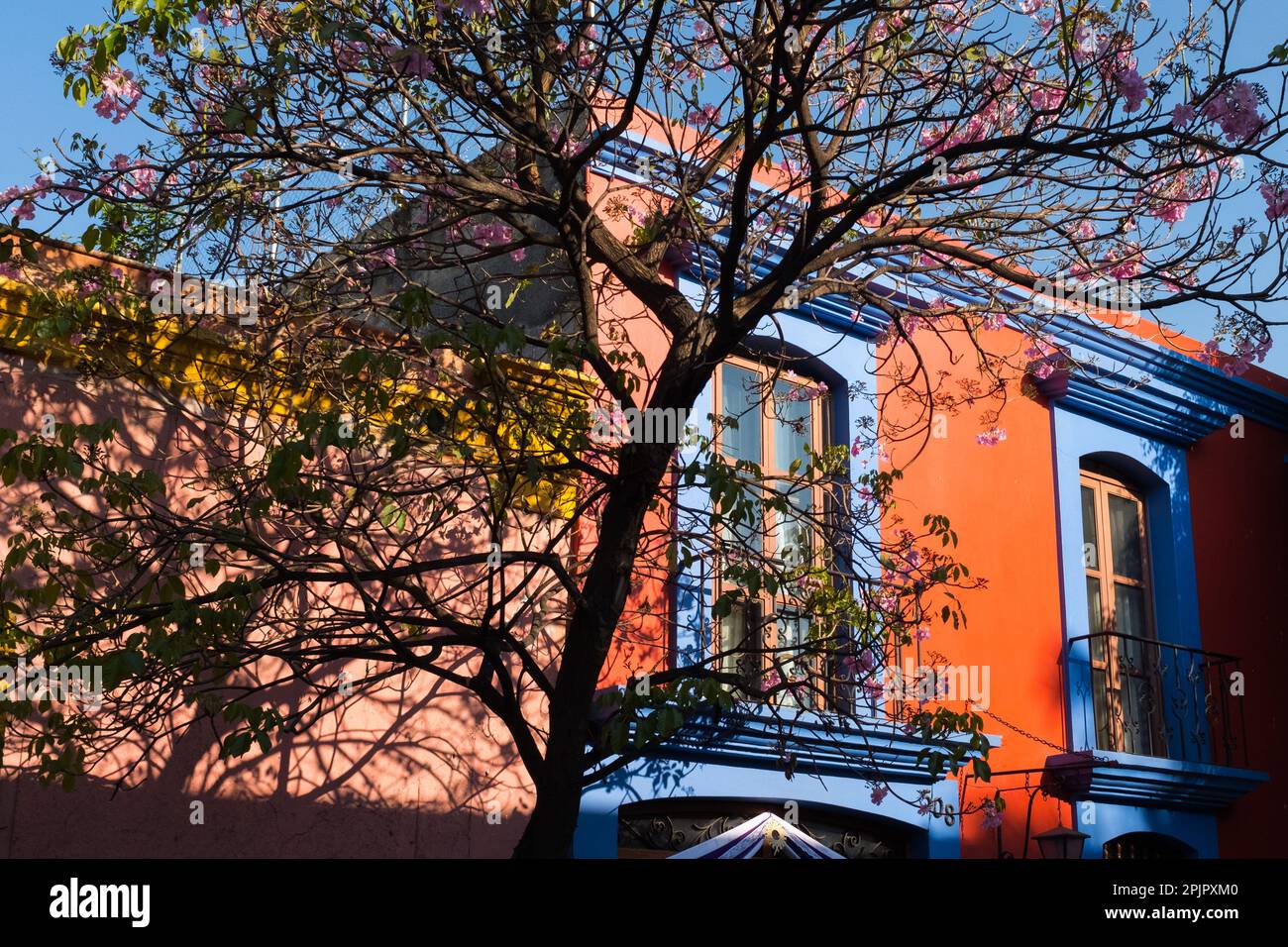 Mexique, scène de rue Oaxaca de Juarez centre historique, état d'Oaxaca, Mexique Banque D'Images