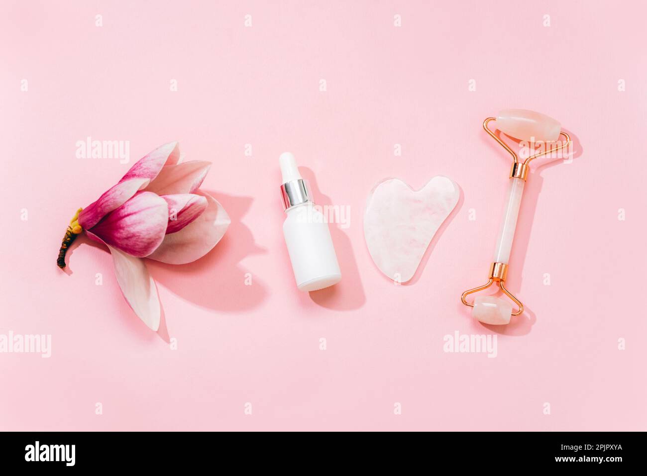 Rouleau facial en cristal de quartz rose et racleur de gua sha, sérum de visage ou huile cosmétique biologique sur fond rose. Kit de massage facial pour la thérapie de levage . Banque D'Images