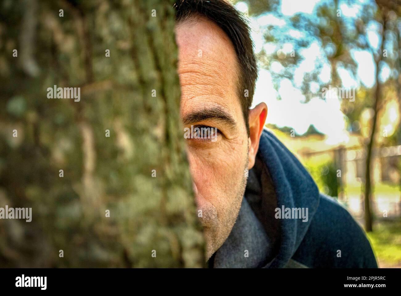 Un homme qui espionne derrière un arbre Banque D'Images
