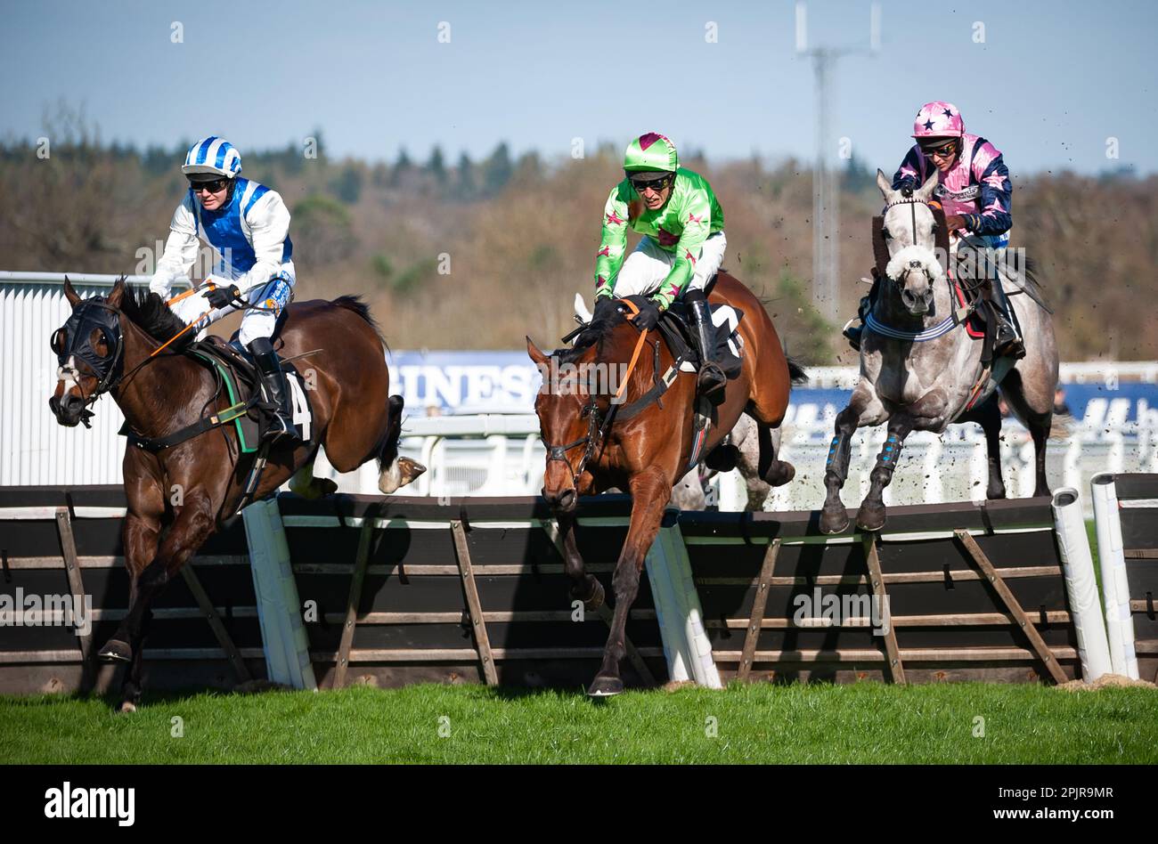 L'imposteur et Tom Bellamy remportent le défi handicap du Colts and Fillies Club novices pour l'entraîneur Nigel Hawke et le propriétaire Mark Philips et JH Gumbley Banque D'Images