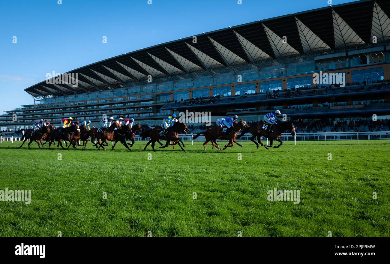 Ivaldi et Harry Cobden remportent la haie handicap de l’Ascot Shop pour l’entraîneur Paul Nicholls et la propriétaire Mme Johnny de la Hey. Banque D'Images