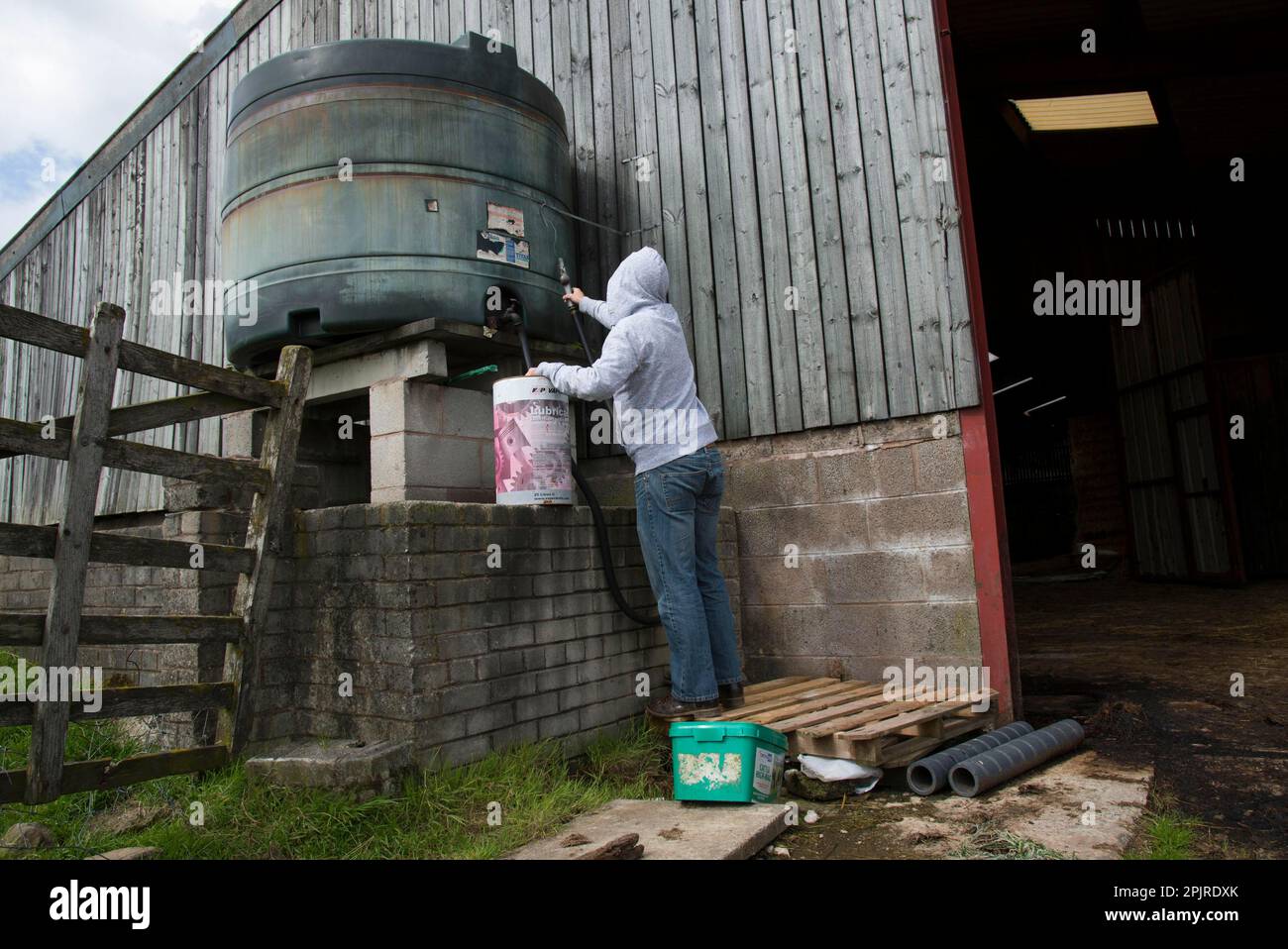 Homme à capuchon sur le point de voler du diesel de réservoir à la ferme, Lancashire, Angleterre, Royaume-Uni Banque D'Images
