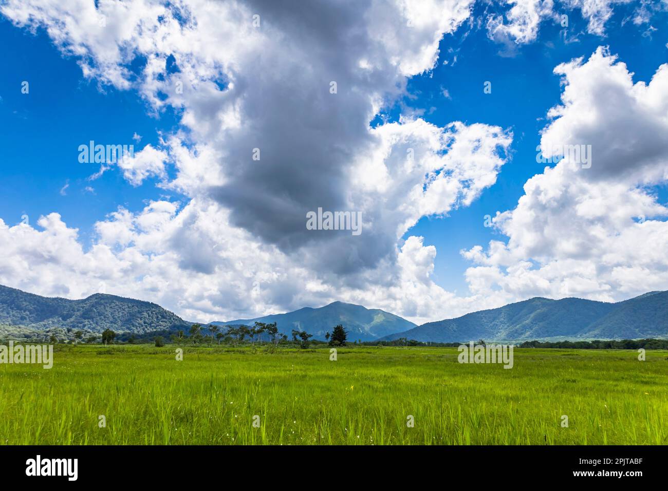 Mt. Shibutsu, du site du camp de Miharashi, du marais d’Ozegahara, du parc national d’Oze, de Hinoematamura (village de Hinoemata), de Fukushima, Japon, Asie de l'est, Asie Banque D'Images