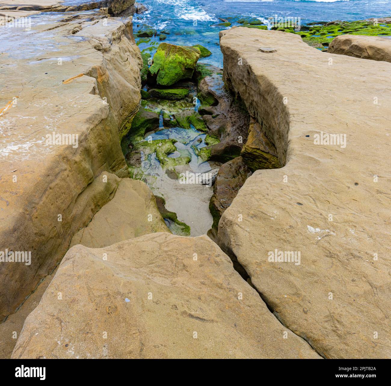 Les marées se trouvent sur les rives de la Jolla Cove, la Jolla, Califonia, États-Unis Banque D'Images