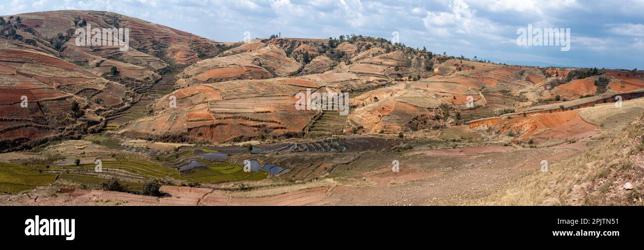 Paysage du centre de Madagascar - Betafo, Vakinancaratra. Paysage de campagne des Highlands. La déforestation crée des terres agricoles ou pastorales, mais elle peut aussi Banque D'Images