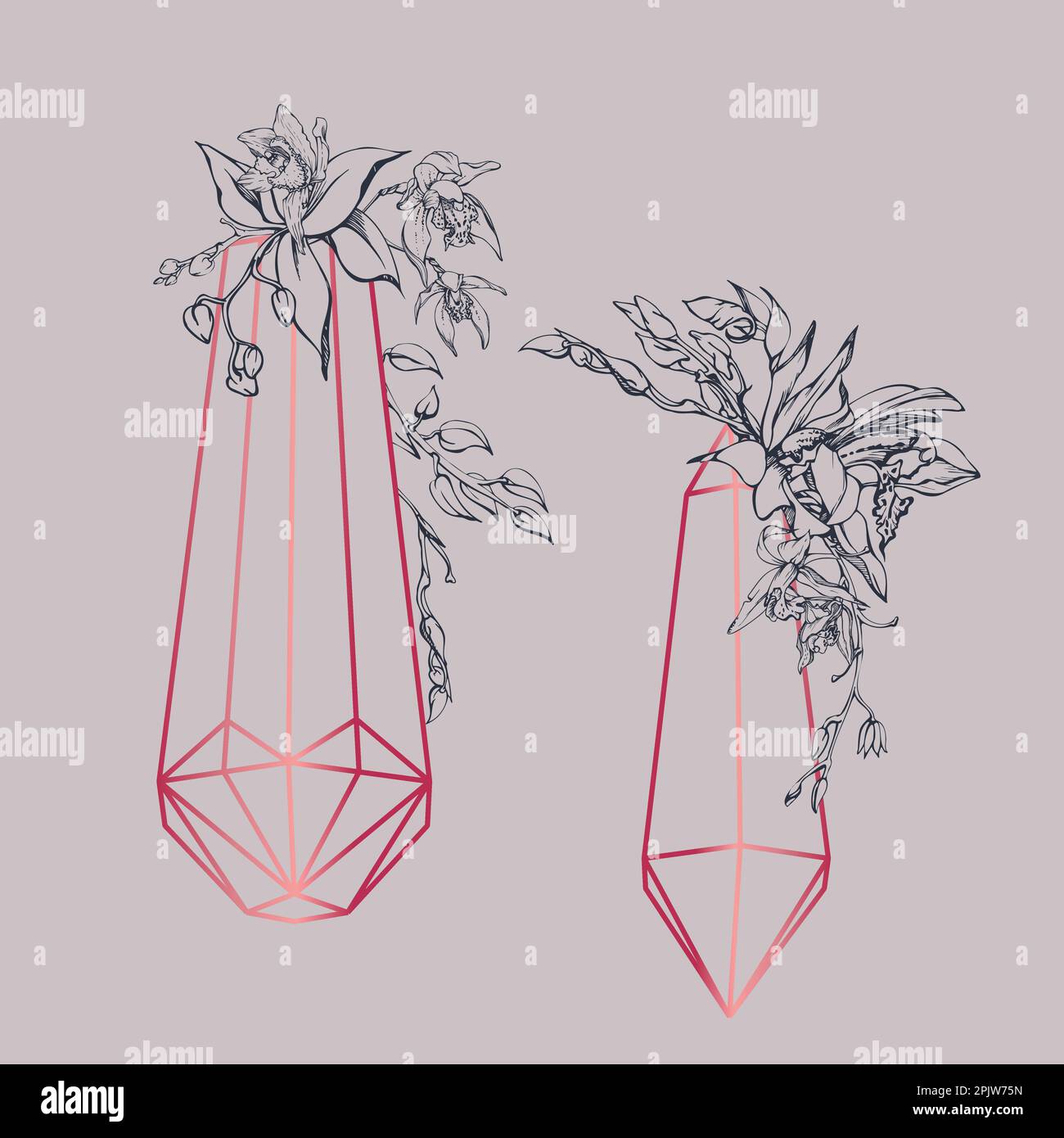 Fleurs et branches d'orchidées à encre vectorielle dessinées à la main, monochrome, contour détaillé. Composition en cristal. Couleur magenta Viva. Design pour mur Illustration de Vecteur