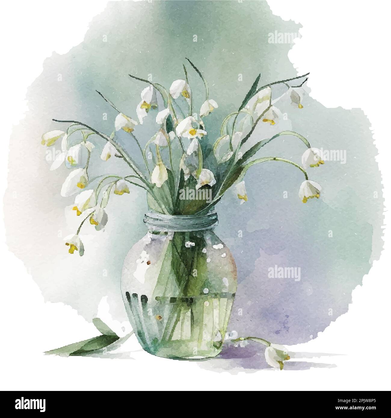 Aquarelle fleurs en forme de goutte d'eau Galanthus . Illustration vectorielle réaliste à la main de fleurs blanches en forme de goutte d'eau dans un vase en verre sur fond blanc Illustration de Vecteur
