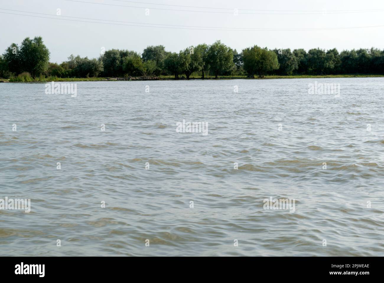 Nature sauvage et aquatique dans l'écosystème du delta du Danube : le delta du Danube est le deuxième plus grand et le mieux préservé des deltas européens. Banque D'Images